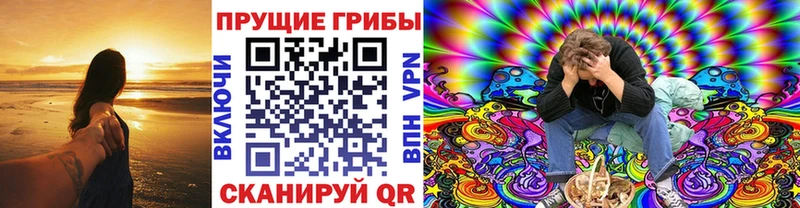 где можно купить наркотик  Чадан  Галлюциногенные грибы мухоморы 